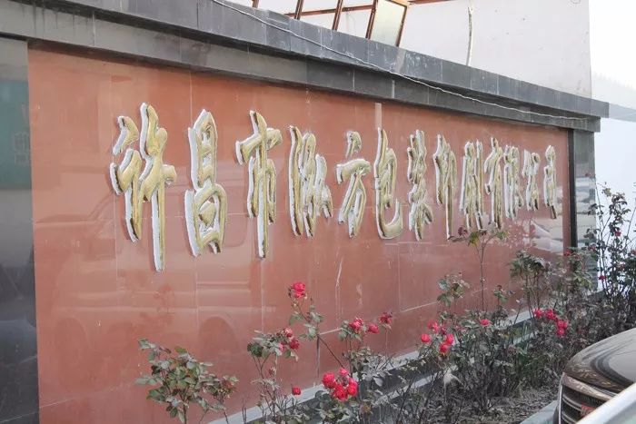 香港全年资料大全