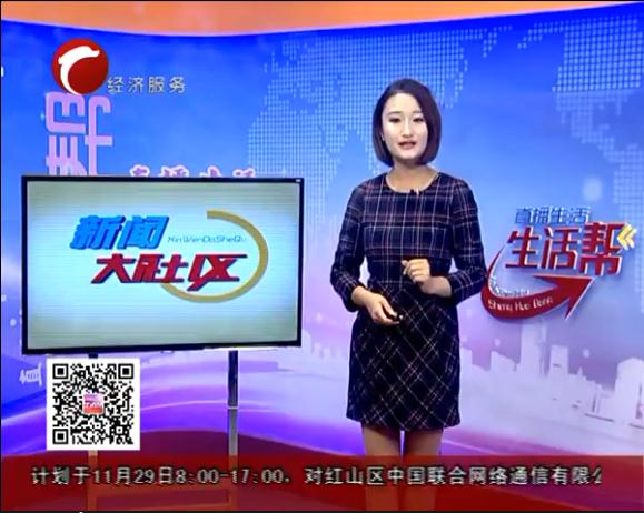 香港全年资料大全