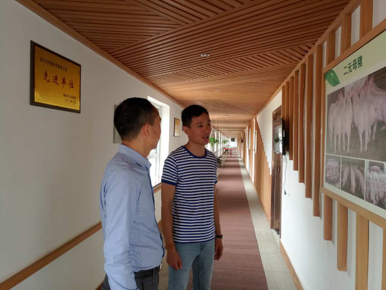 香港全年资料大全