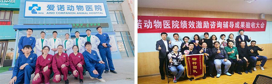 香港全年资料大全