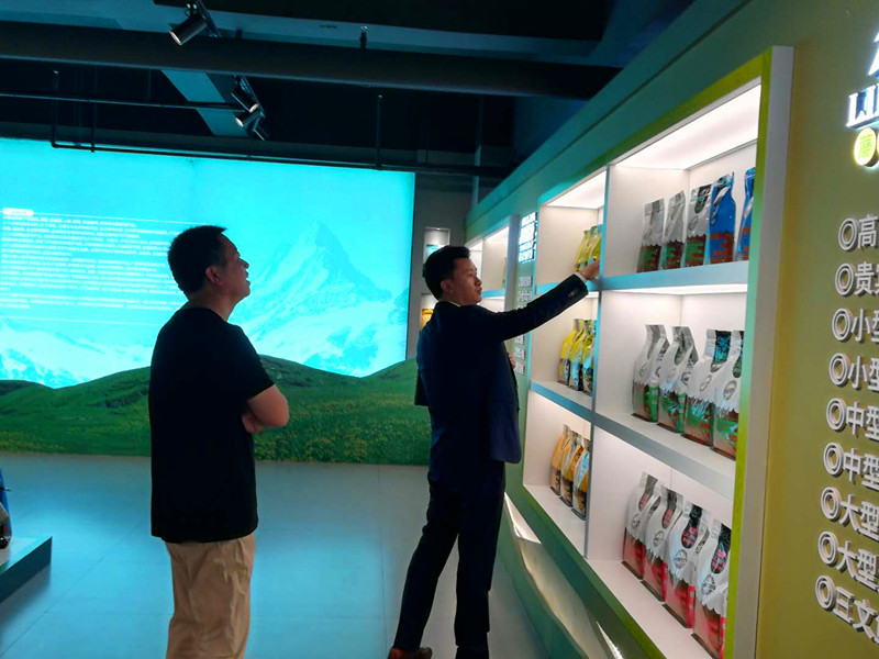 香港全年资料大全