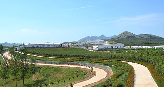 香港全年资料大全