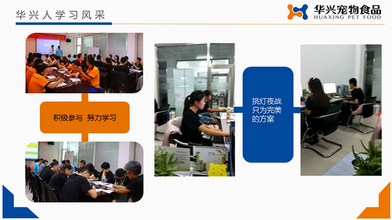 香港全年资料大全