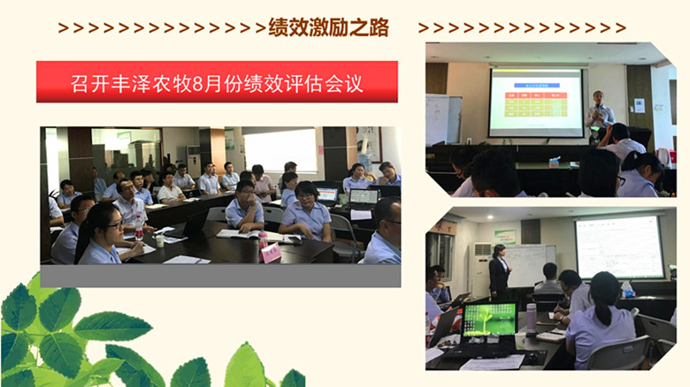 香港全年资料大全