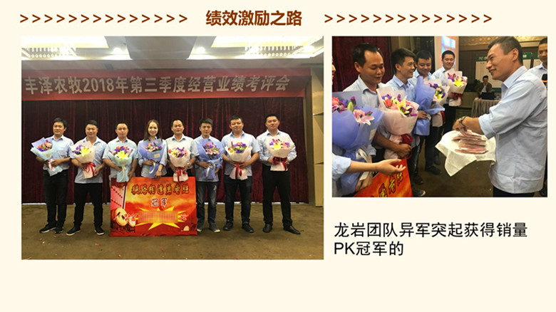 香港全年资料大全