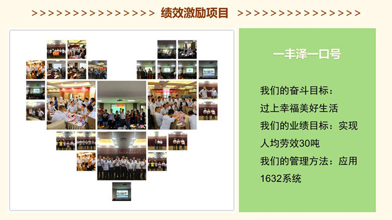 香港全年资料大全