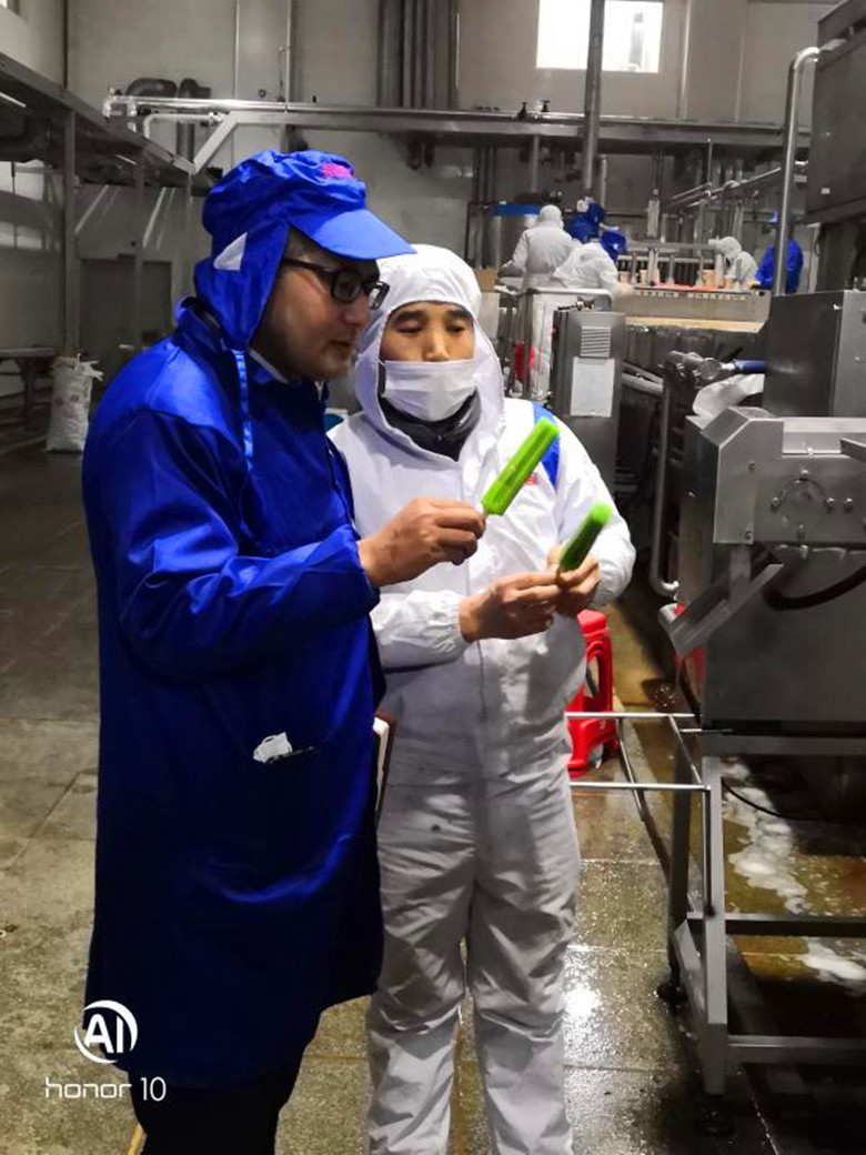 香港全年资料大全