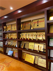 香港全年资料大全