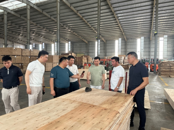 香港全年资料大全