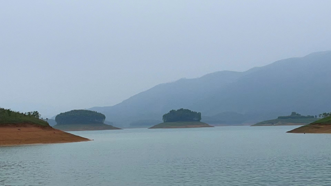 香港全年资料大全