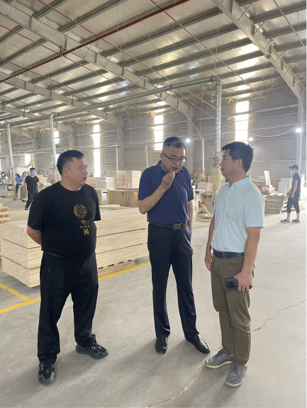 香港全年资料大全