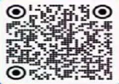 香港全年资料大全