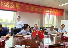 香港全年资料大全