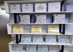 香港全年资料大全