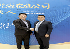 香港全年资料大全