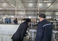 香港全年资料大全