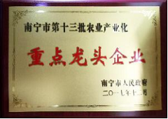 香港全年资料大全