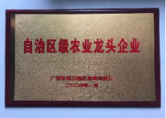 香港全年资料大全