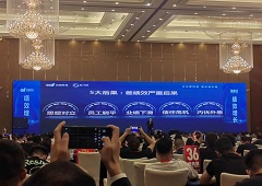 香港全年资料大全